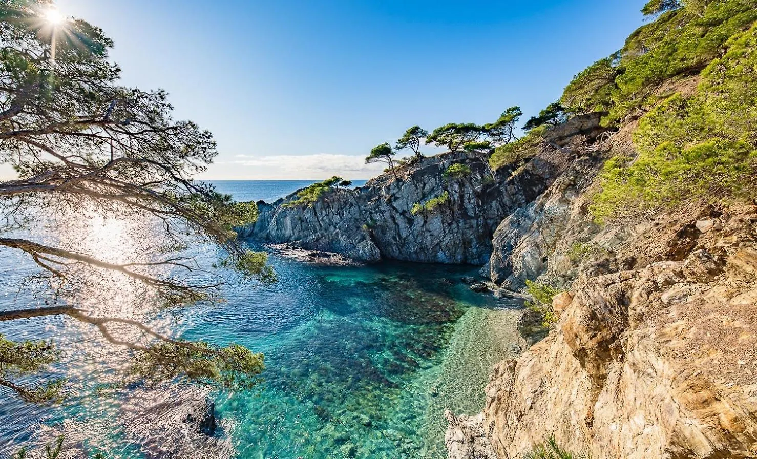 Villa Front De Mer Acces Plage Presqu'Ile De Giens-Sea And Mountain Pleasure Hyeres France